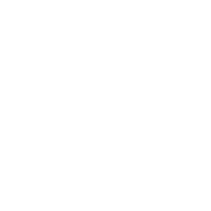 WAA logo - White - High Res